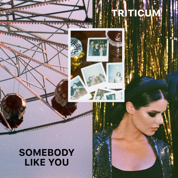 Обложка песни TRITICUM - Somebody Like You