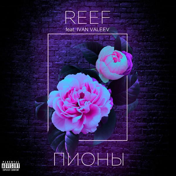 Обложка песни Reef & Ivan Valeev - Пионы