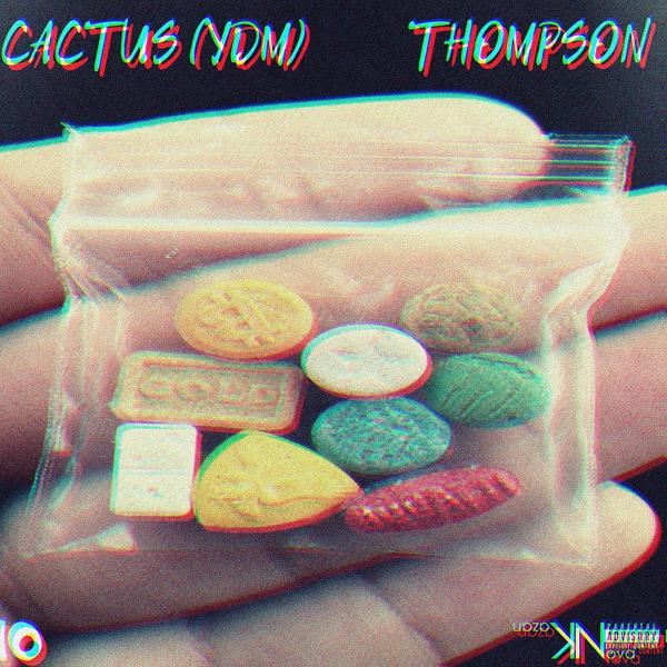 Обложка песни Thompson & Cactus YDM - 10 причин (Original Mix)