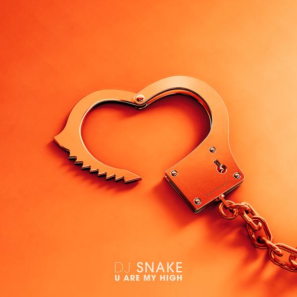 Обложка песни DJ Snake - You Are My High