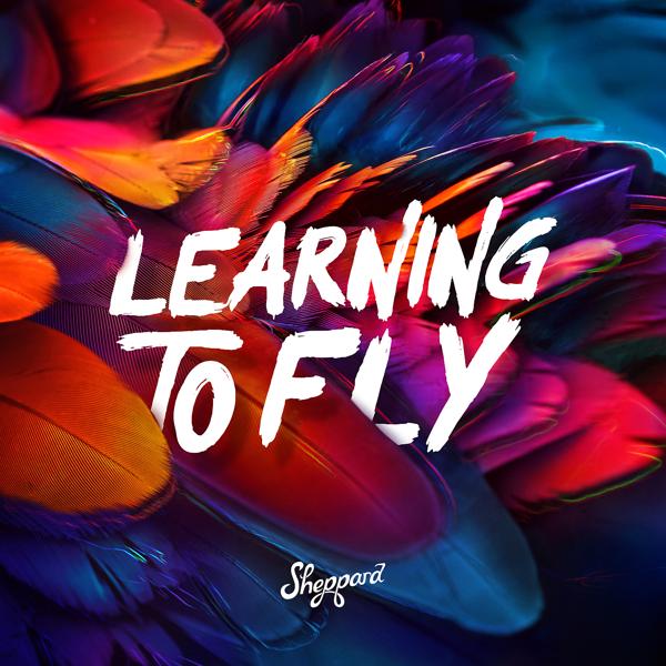 Обложка песни Sheppard - Learning To Fly