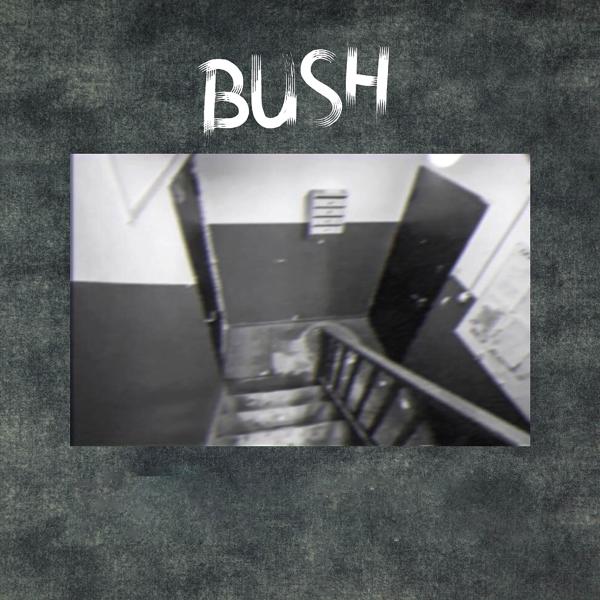 Обложка песни Bush - Подъездная романтика