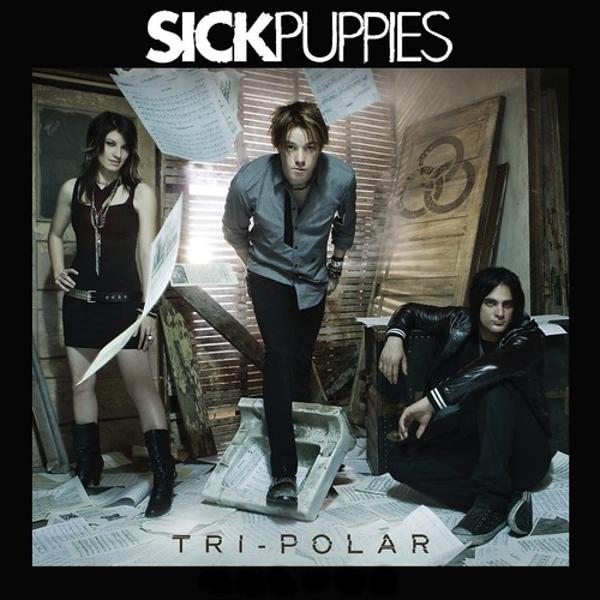 Обложка песни Sick Puppies - You're Going Down