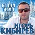 Обложка трека Игорь Кибирев - Белая зима