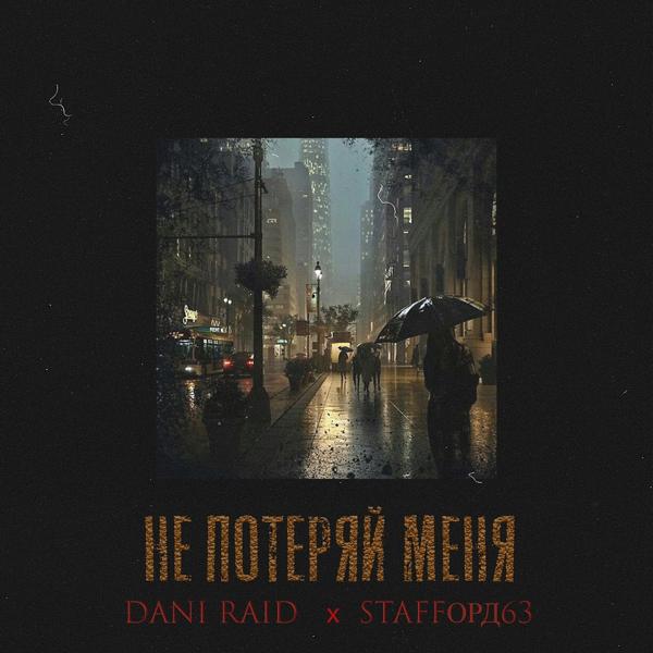Обложка песни StaFFорд63, Dani Raid - Не потеряй меня