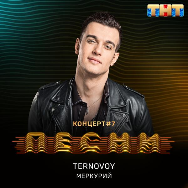Обложка песни TERNOVOY - Меркурий