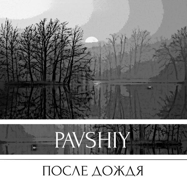 Обложка песни pavshiy - После дождя