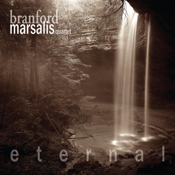 Обложка песни Branford Marsalis - Gloomy Sunday