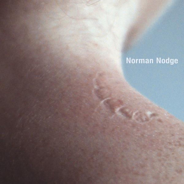 Обложка песни Norman Nodge - Discipline