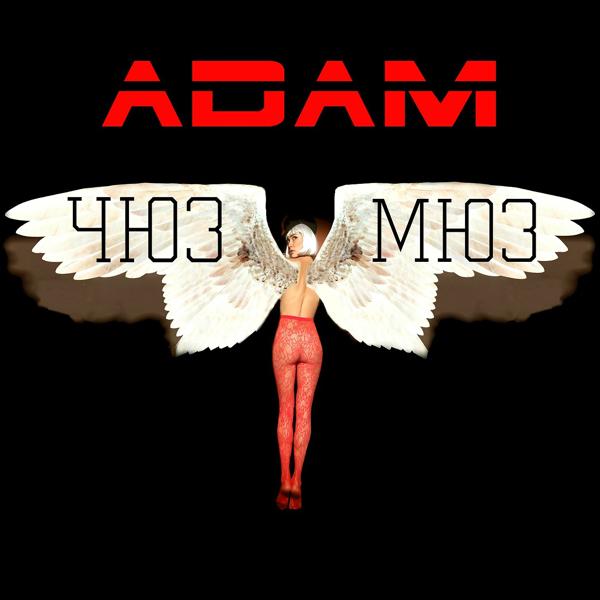 Обложка песни Adam - Таку як є