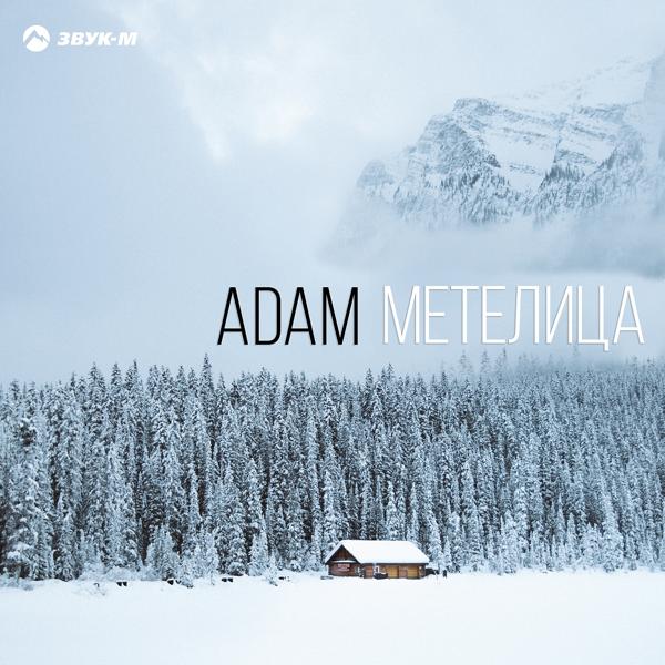 Обложка песни Adam - Свадьба
