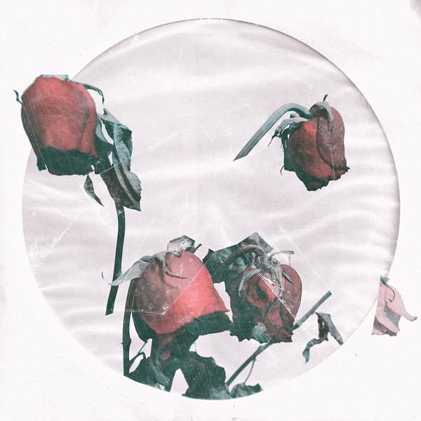 Обложка песни Адвайта - Молодость пахнет розами