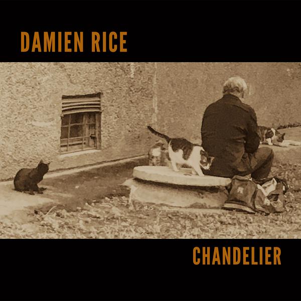 Обложка песни Damien Rice - Chandelier