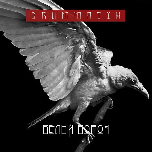 Обложка песни Drummatix - Белый Ворон