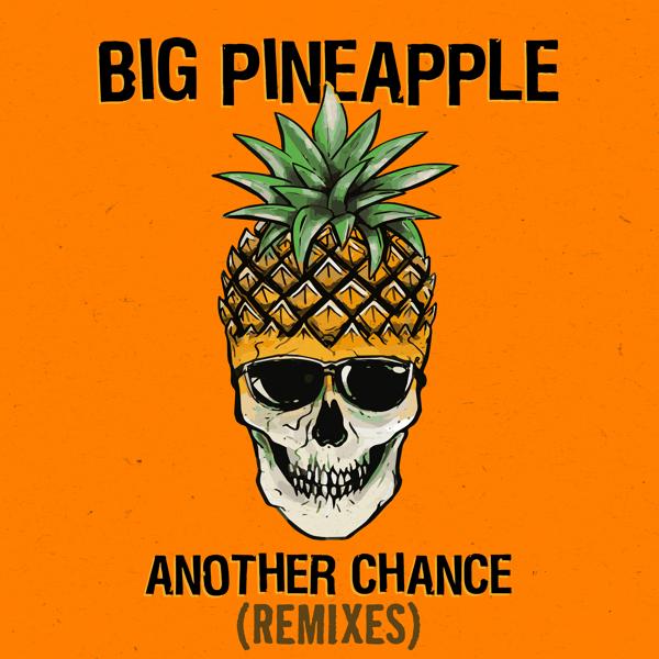 Обложка песни Big Pineapple - Another Chance (Don Diablo Chill Mix)