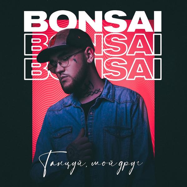 Обложка песни Bonsai - Танцуй, мой друг