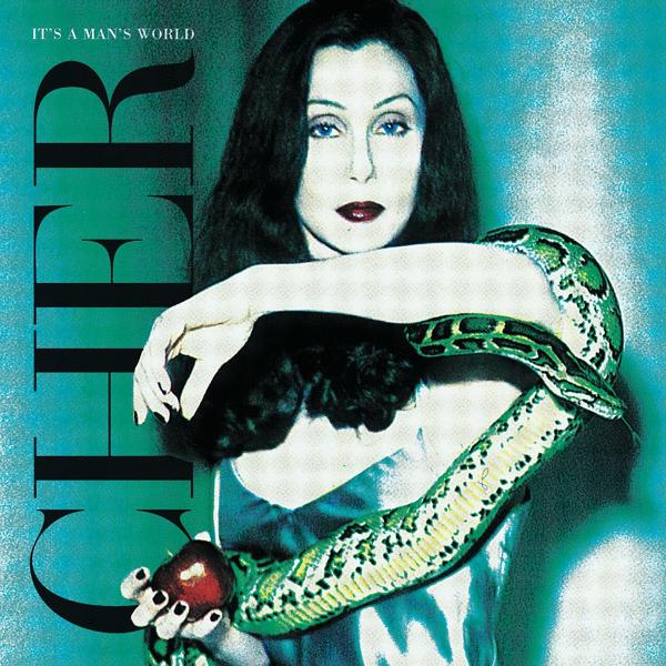 Обложка песни Cher - Walking in Memphis