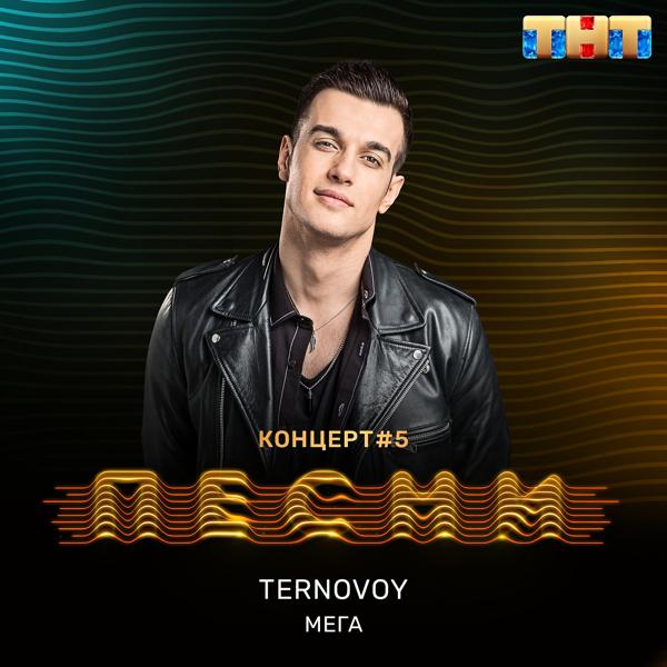 Обложка песни TERNOVOY - МЕГА