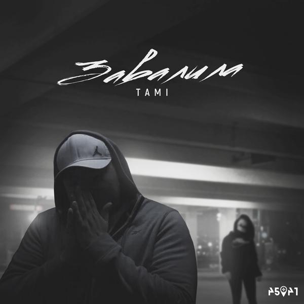 Обложка песни Tami - Завалила