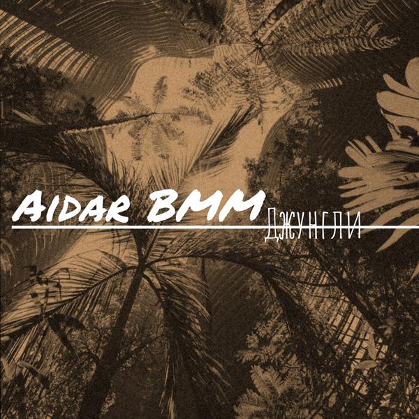 Обложка песни Aidar BMM - Джунгли