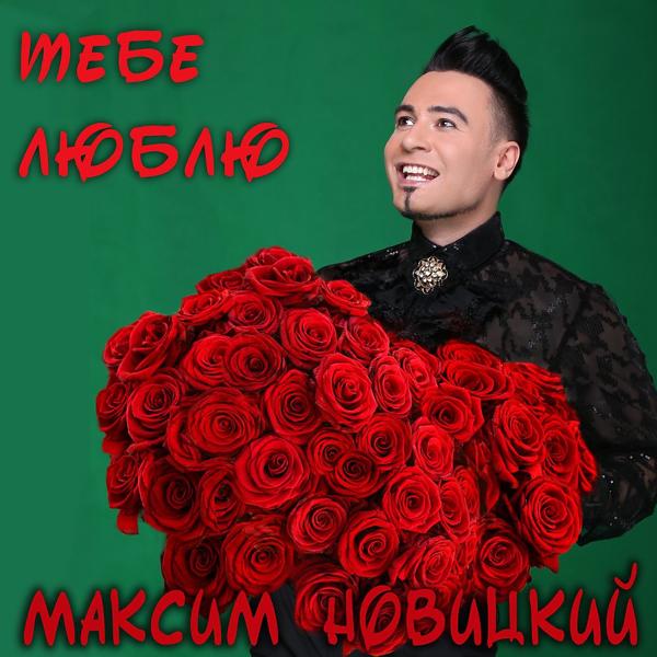 Обложка песни Максим Новицкий - Тебе Люблю (Radio Version)