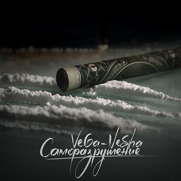 Обложка песни VeGa-VepSha - Саморазрушение