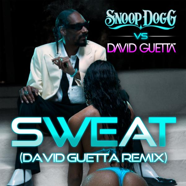 Обложка песни Snoop Dogg, David Guetta - Sweat (Snoop Dogg Vs. David Guetta)