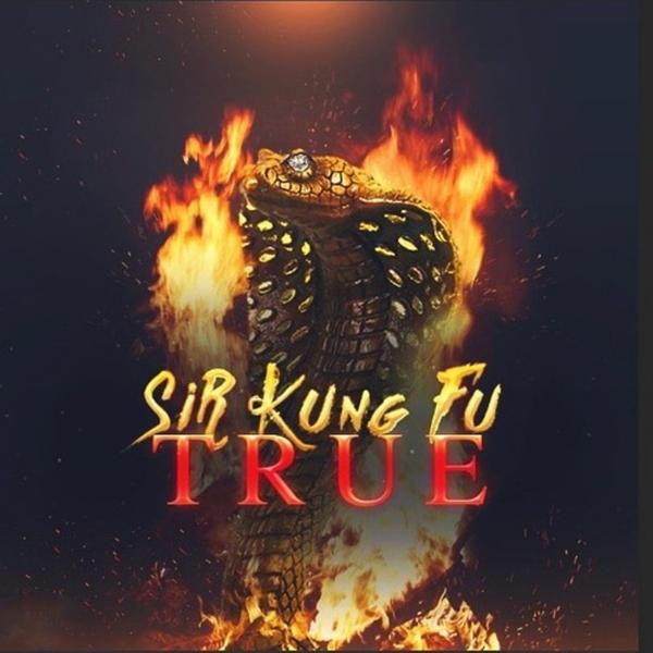 Обложка песни Sir Kung-Fu, Майк - Ниндзя