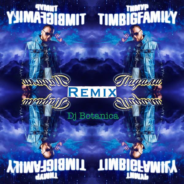 Обложка песни Тимур TIMBIGFAMILY - Падали (Remix Dj Botanica)