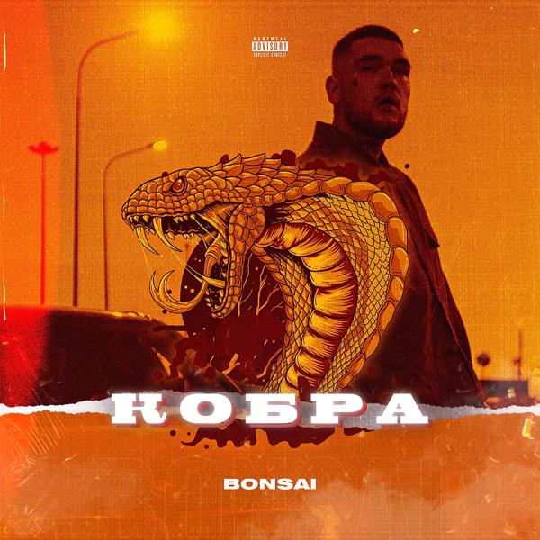 Обложка песни Bonsai - Кобра