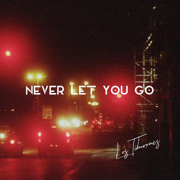 Обложка песни Los Tiburones - Never Let You Go