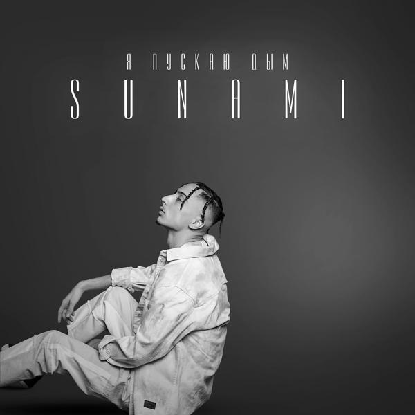 Обложка песни Sunami - Я пускаю дым